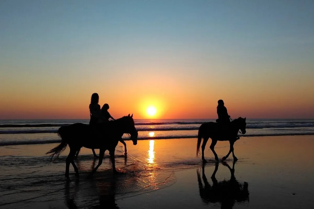 Silhouetted horse riders walking along a wet sandy beach at sunset